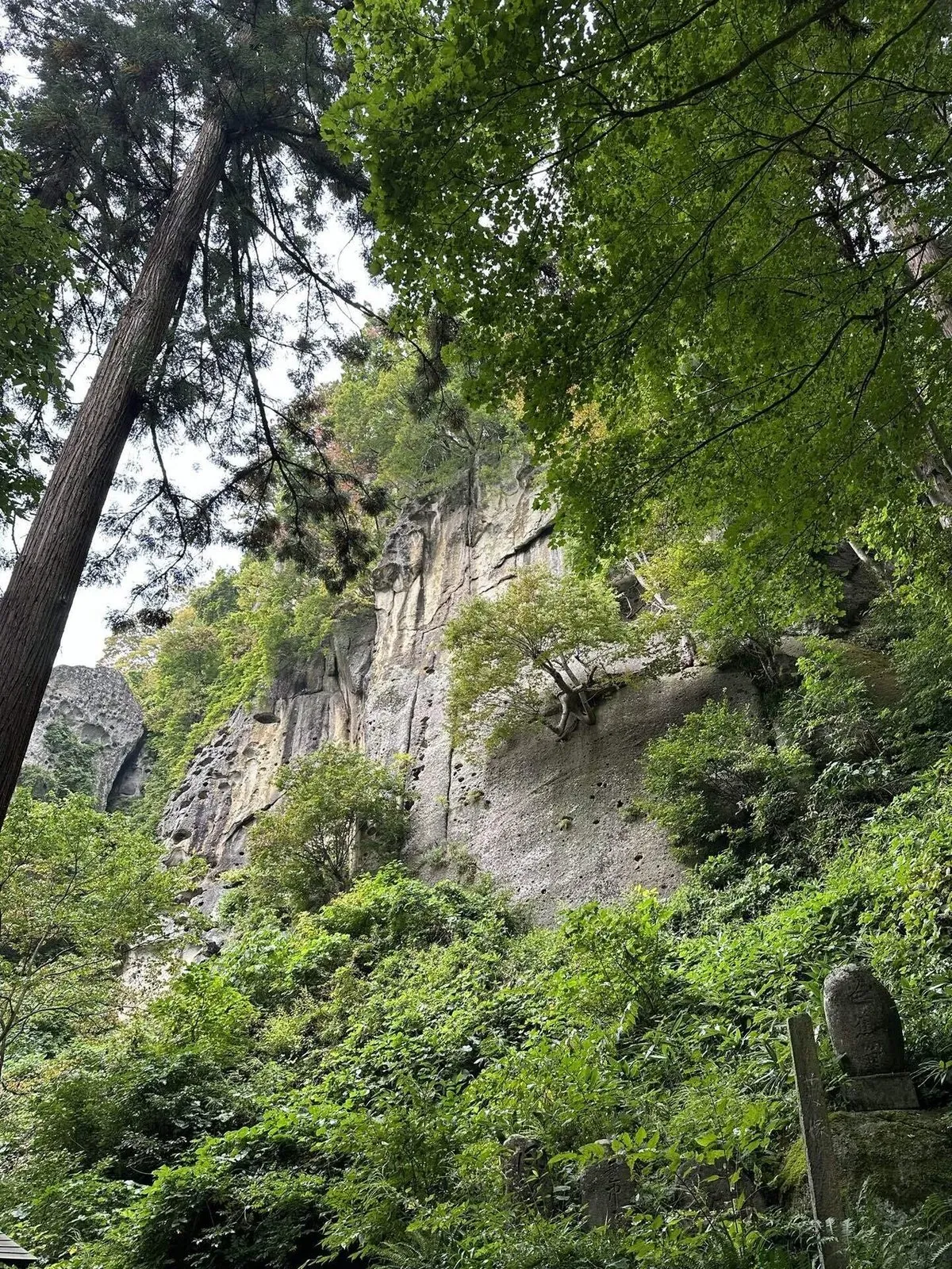 東北に住んでいいとすら思った ～序章＆四寺廻廊編～の画像