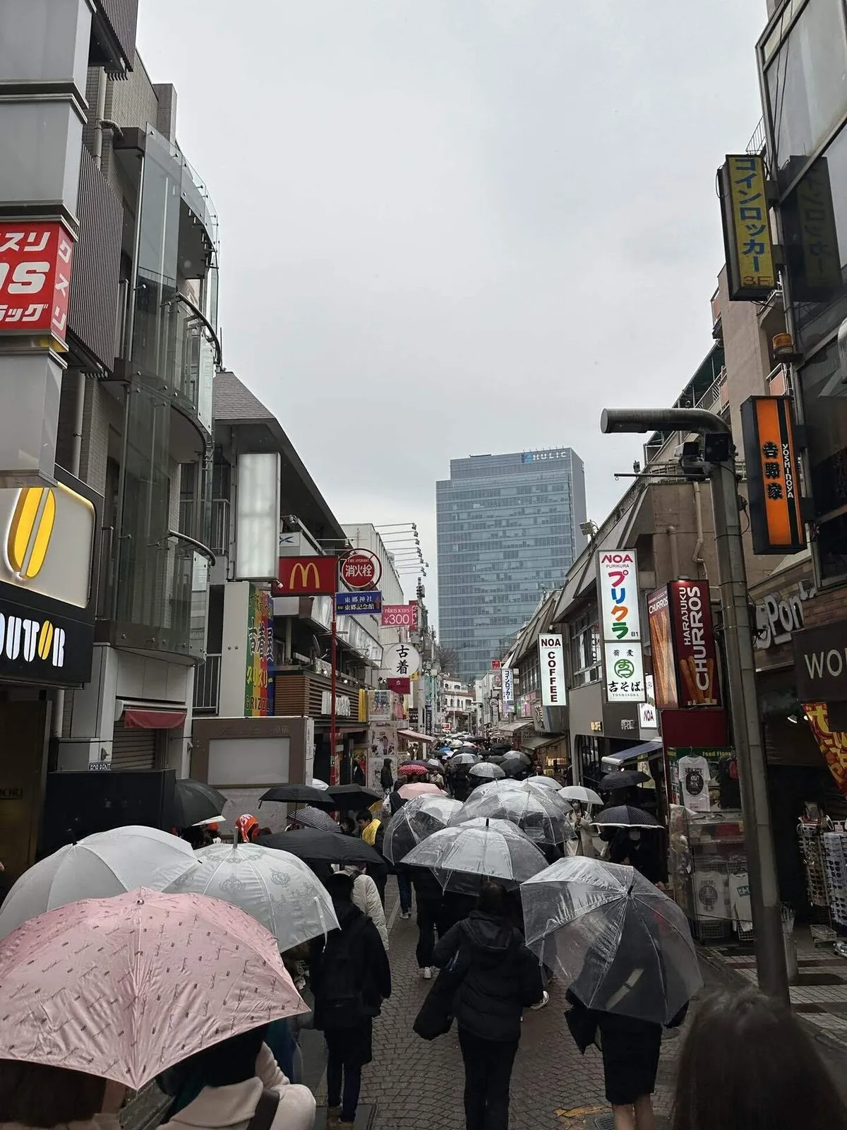 1月で1年は決まるの画像