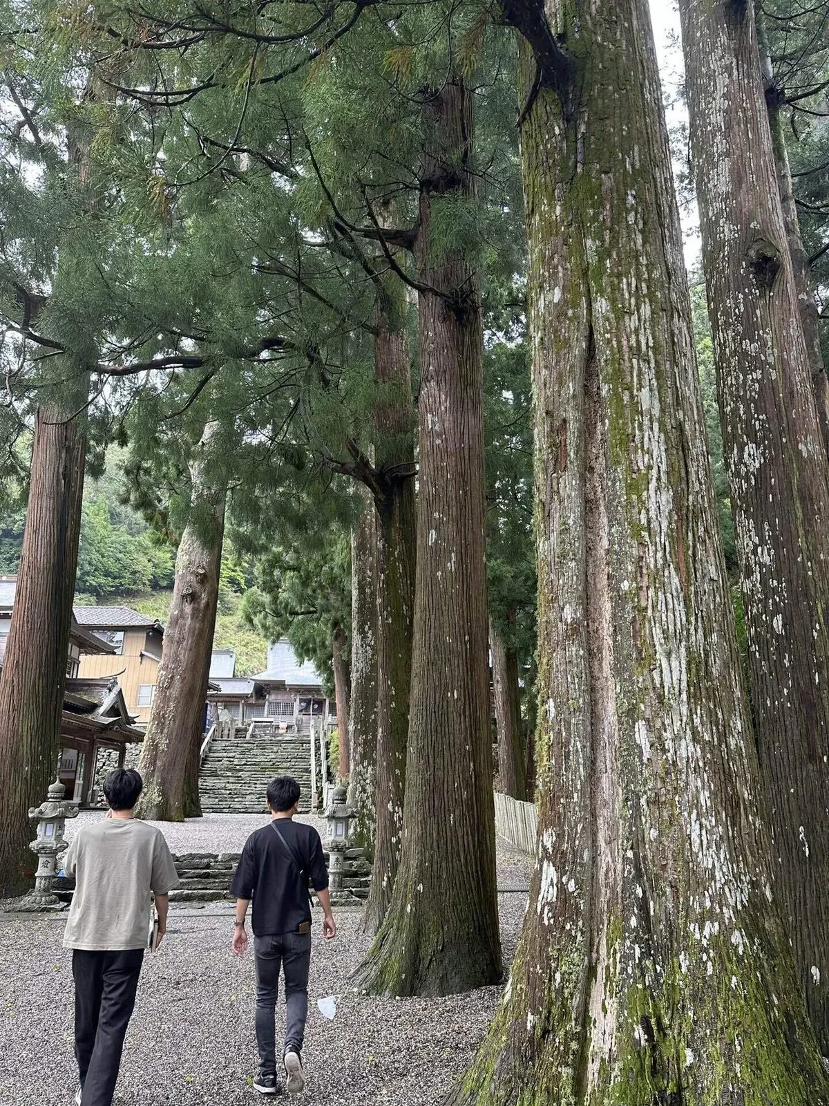 お遍路 中間報告会の画像
