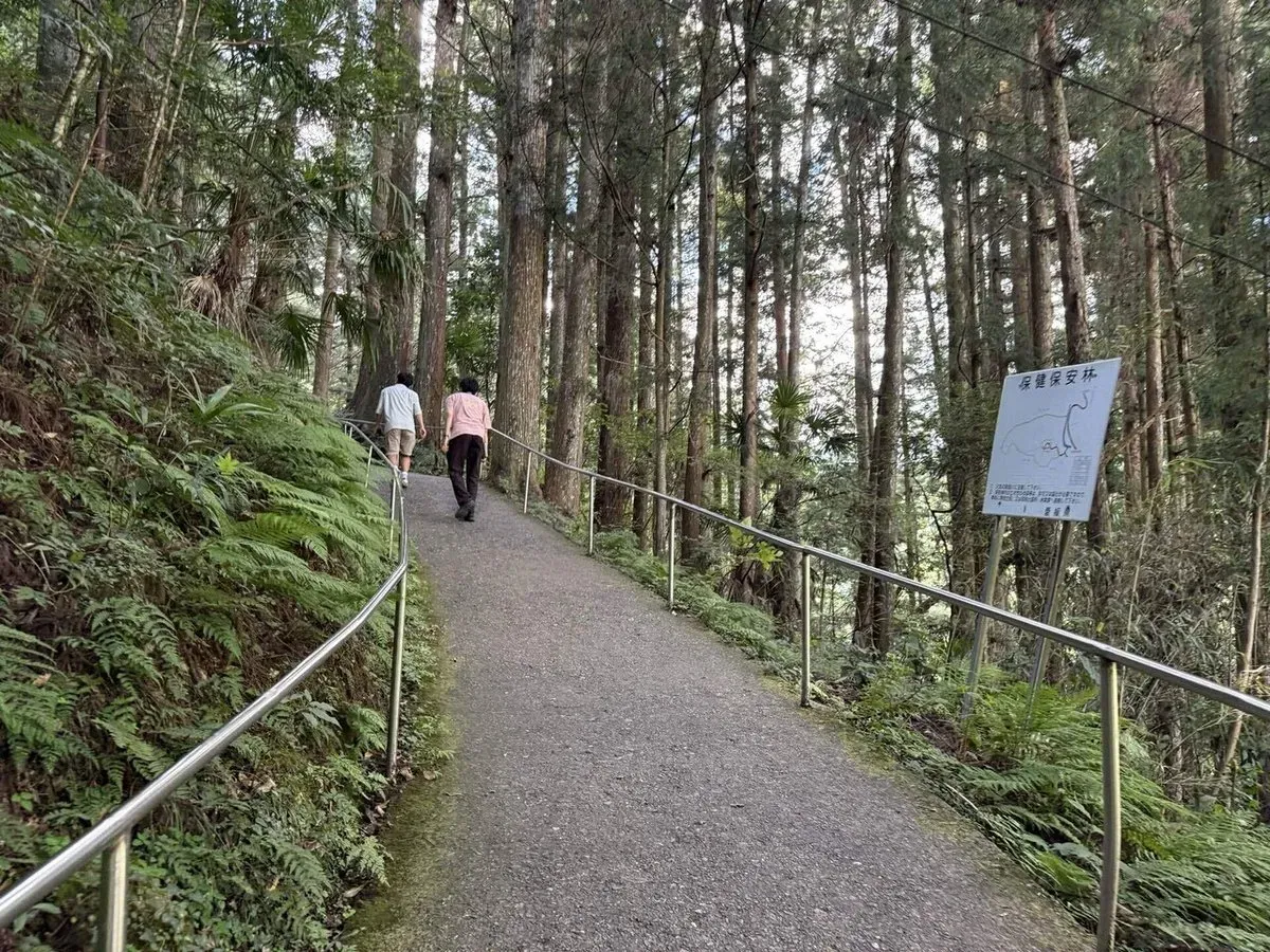 お遍路 中間報告会の画像