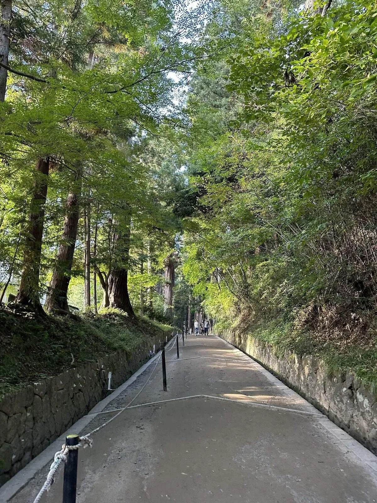 東北に住んでいいとすら思った ～序章＆四寺廻廊編～の画像