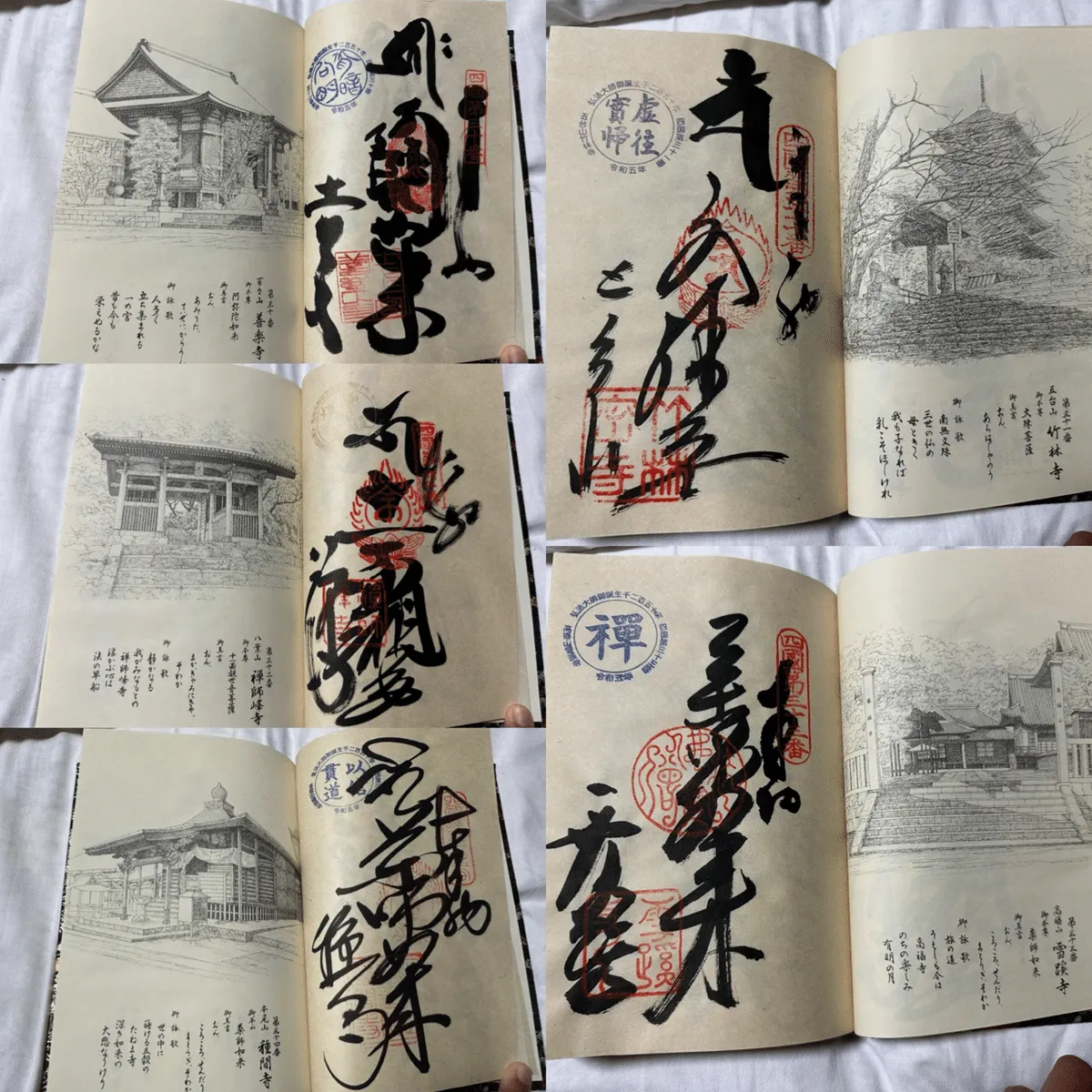 お遍路 中間報告会の画像