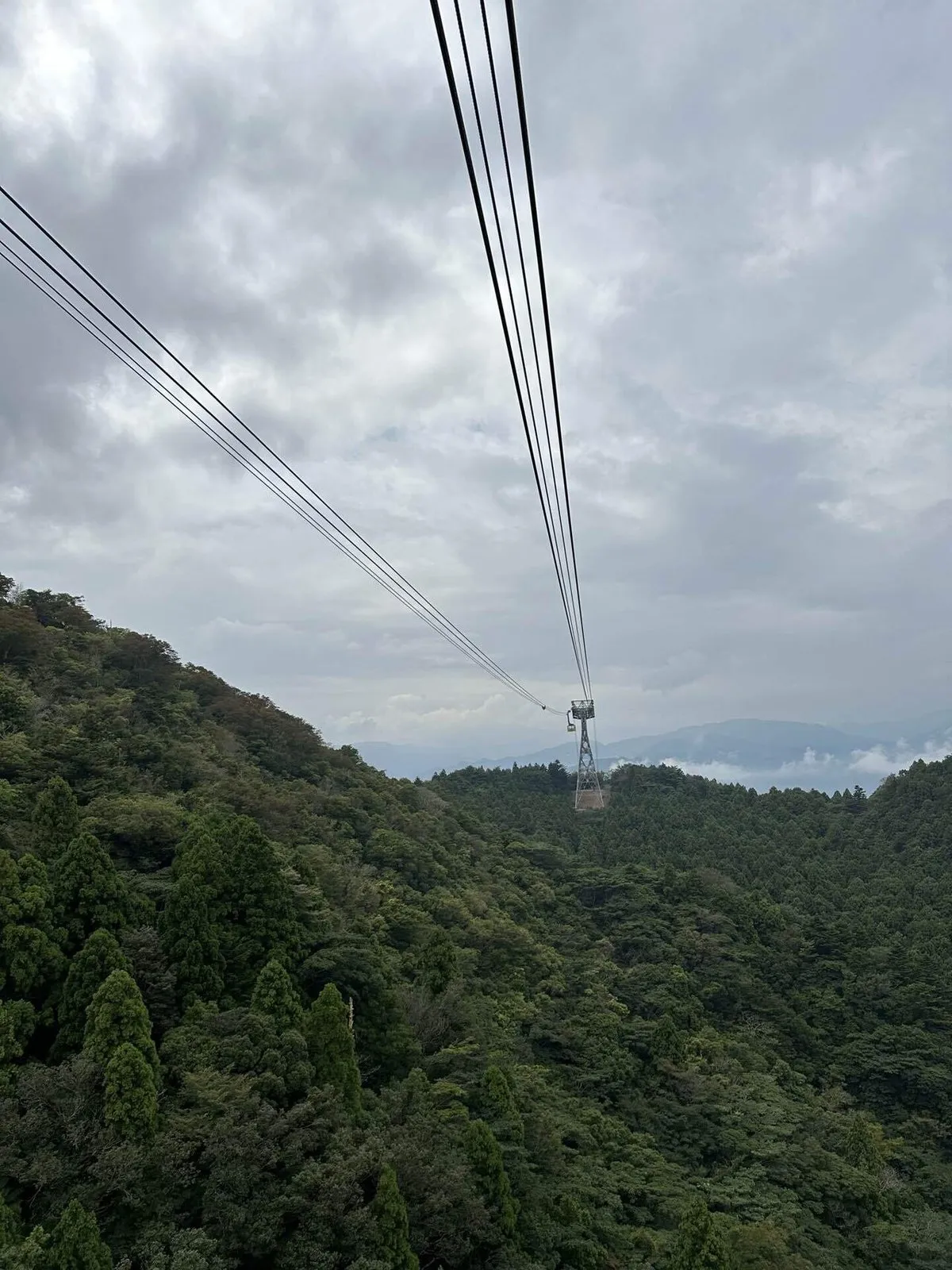 お遍路 中間報告会の画像