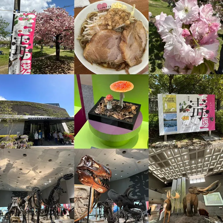 毒展