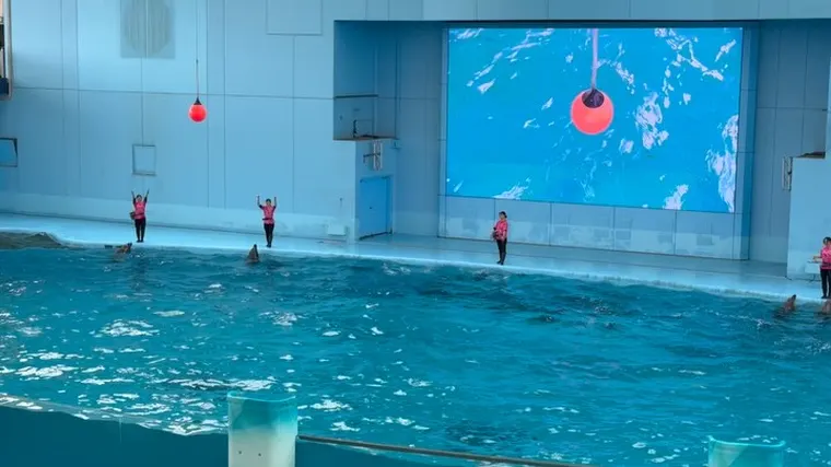 八景島シーパラダイス